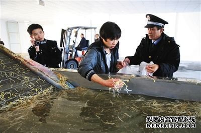 　執(zhí)法人員正讓一名員工從洗豆芽池內(nèi)取樣，準(zhǔn)備帶回檢測(cè)化驗(yàn)。