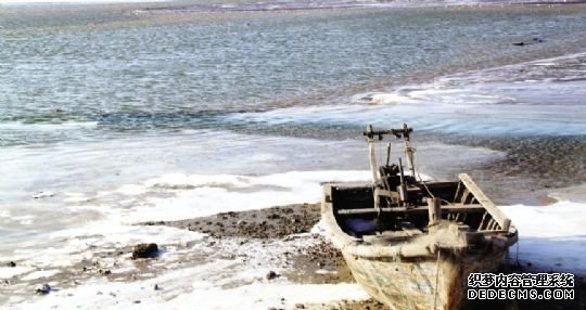 養(yǎng)殖過密渤海酸化