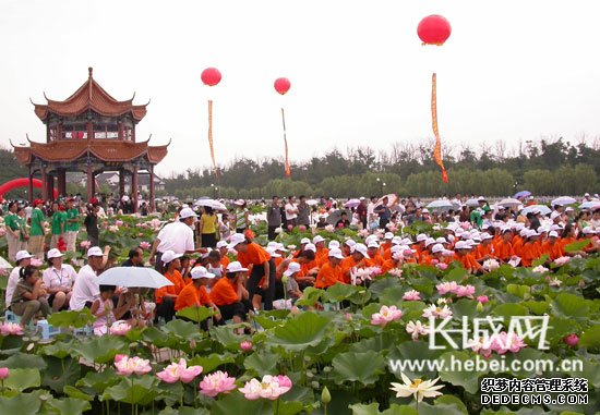南戴河國際娛樂中心荷花池中的荷花競相綻放吸引眾多游客慕名來此觀賞荷花
