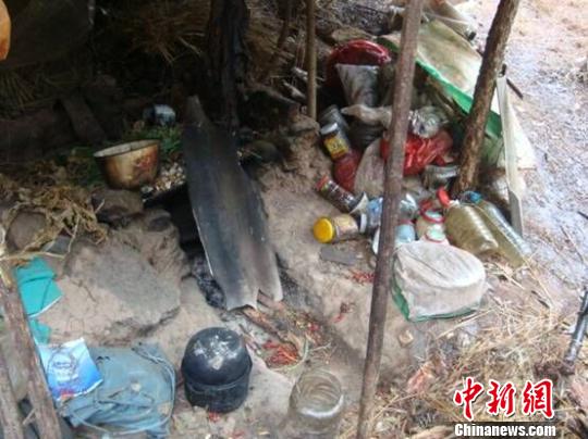 圖為劉某搭建的窩棚 楊喬云 攝