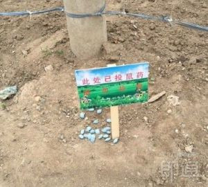 投放后會做好標(biāo)示