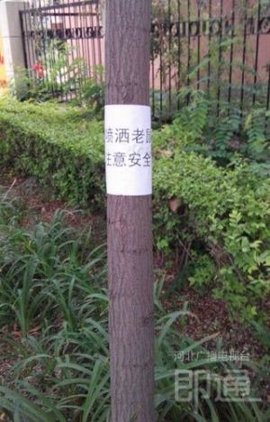 請留意投放標(biāo)志，遛狗的市民也要注意。