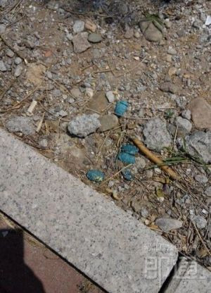 鼠藥顏色鮮艷，容易被兒童誤以為是糖塊撿起來食用，家長要注意。