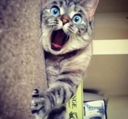 為行竊雇人開鎖，大膽賊竟是女兒閨蜜！偷完錢還留字條嘲笑…