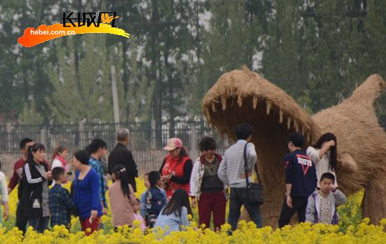 個性的稻草人歡樂區(qū)引游客觀賞。扈煒 攝