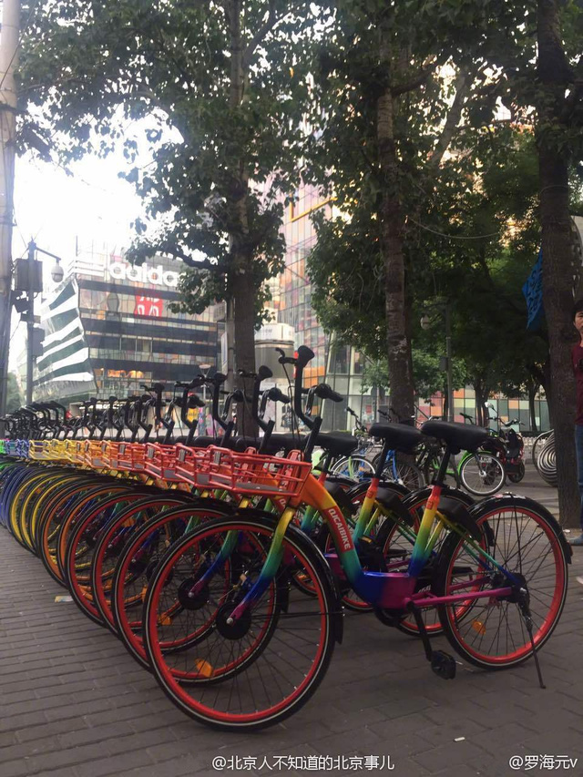 如今推出的七彩單車(chē)把七種顏色全占了。