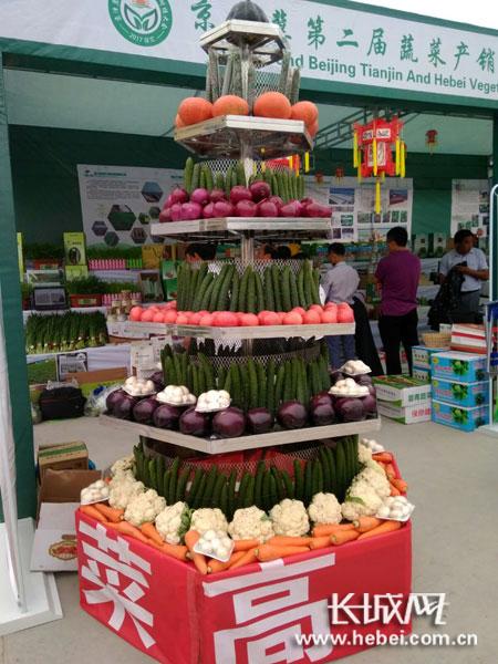 蔬菜“展架”。聶承華 攝