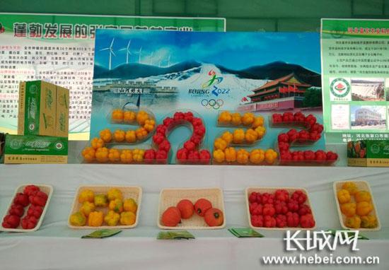 精品蔬菜。聶承華 攝