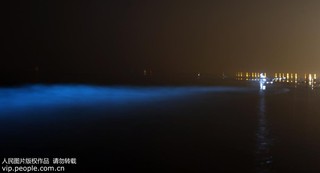 2017年9月17日凌晨，在河北省秦皇島市金夢(mèng)海灣浴場(chǎng)拍攝的“熒光海”。