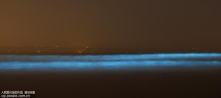 2017年9月17日凌晨，在河北省秦皇島市金夢(mèng)海灣浴場(chǎng)拍攝的“熒光?！?。