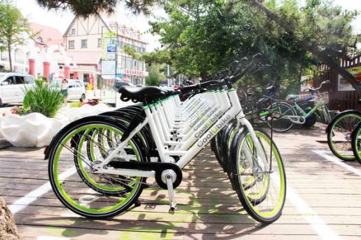 秦皇島街頭現(xiàn)共享單車婚禮 別樣創(chuàng)意驚艷海濱！