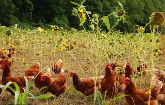 相關(guān)設(shè)施裝備配套率達(dá)到100%