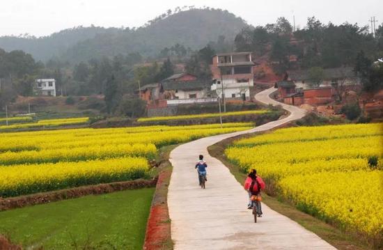 2016年中央和省級財政扶貧資金下達（各市縣）情況分布表