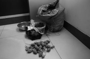 ■民警查獲的罌粟殼。