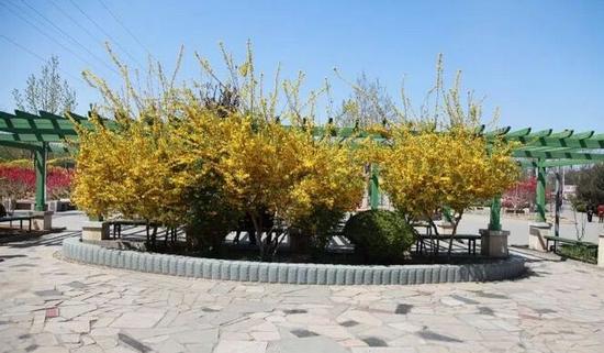 秦皇島海港區(qū)新增“河北省三星級(jí)”公園游園