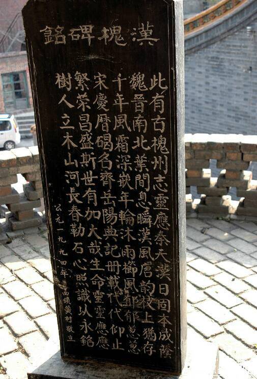 相傳此槐為漢代所植，樹干高達(dá)30余米，胸徑2.49米，主干高6.1米，冠幅東西24.8米，南北25.2米，一級(jí)分四枝，西面一枝被鋸，南面一枝風(fēng)折。