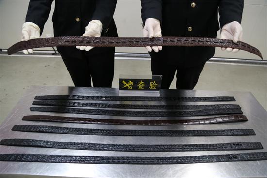 近日，石家莊海關(guān)隸屬石家莊機(jī)場海關(guān)在旅檢現(xiàn)場查獲由曼谷航班進(jìn)境的1名中國籍旅客違規(guī)攜帶鱷魚皮腰帶8根。圖為查獲瀕危物種制品。 圖片來源：石家莊海關(guān)官方網(wǎng)站